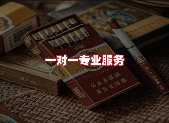 专业团队